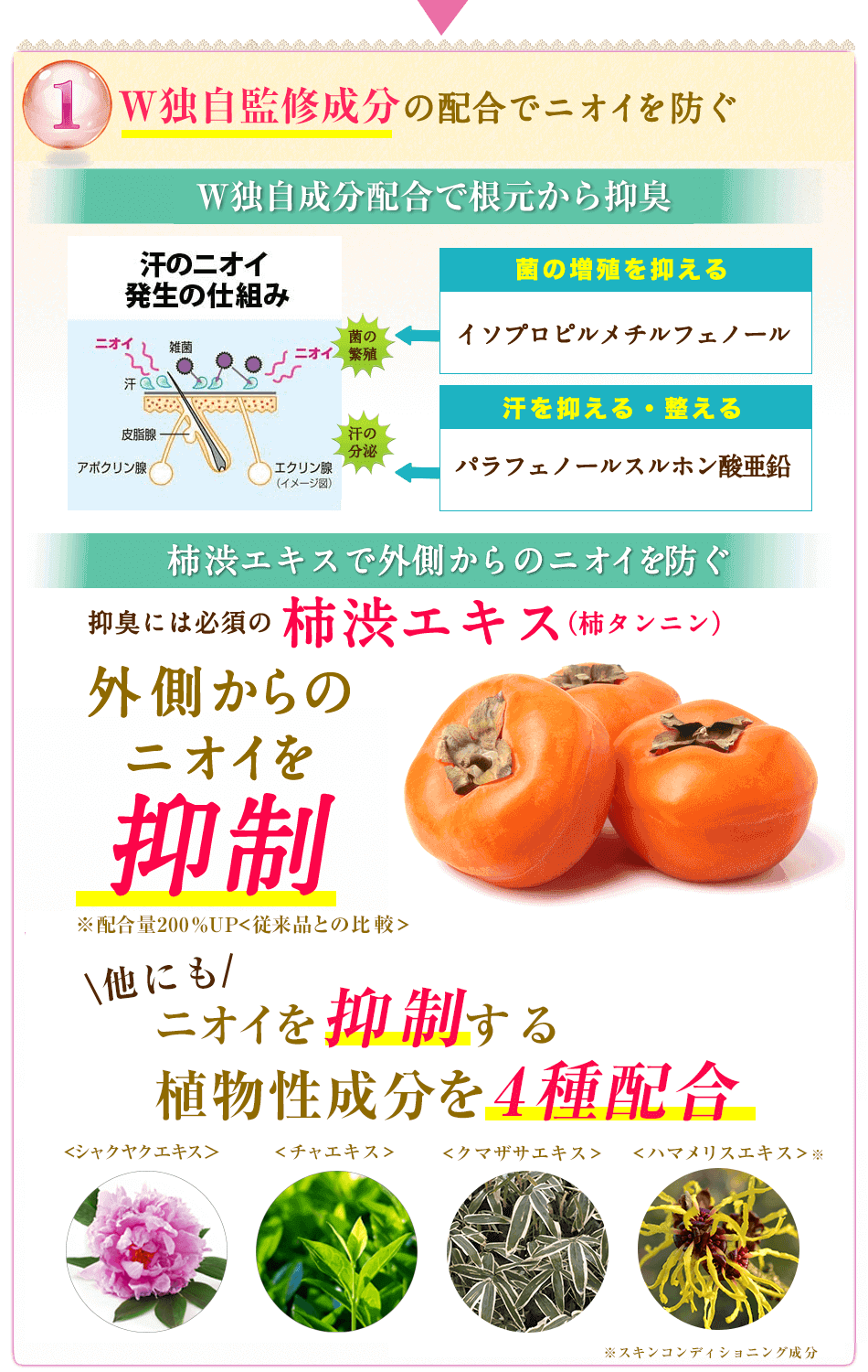 cleaneoのクリームのナノ化しニオイを元からシャットアウト