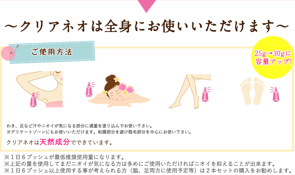 cleaneoの使用方法